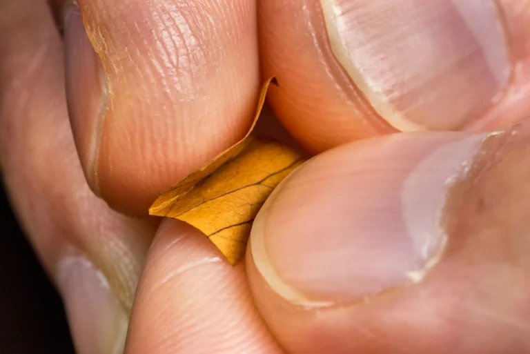 How to Avoid Yellow Stains from Nail Polish
